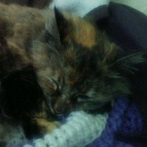 Meet your Posher, Rosario